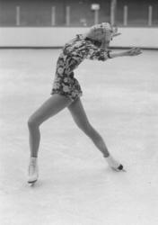 Jayne Meyer